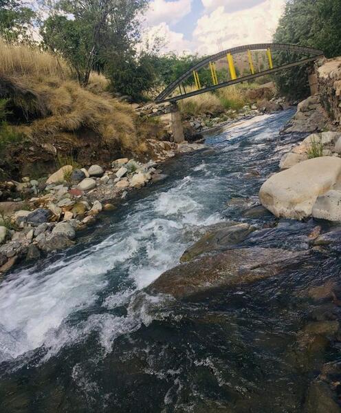عکس طبیعت رابر