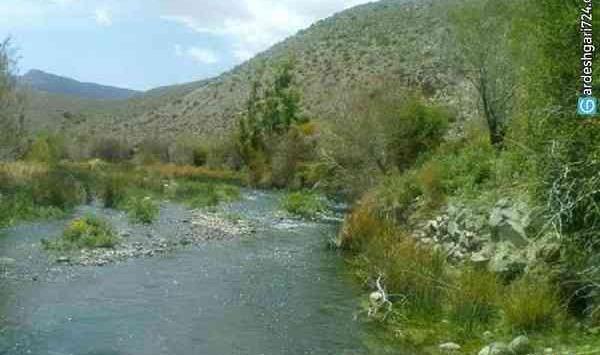 عکس طبیعت رابر