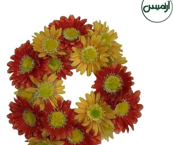 عکس گل ژربرا نارنجی