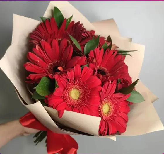 عکس گل ژربرا نارنجی