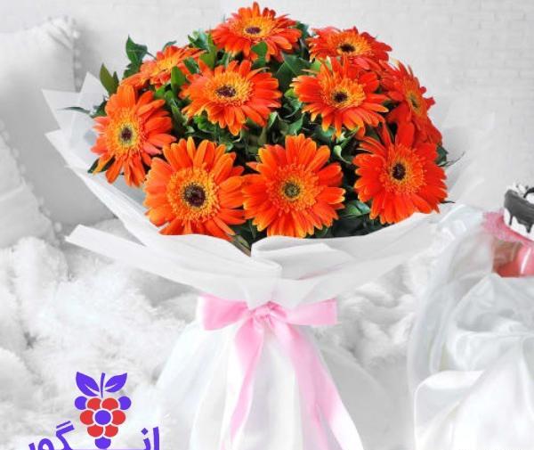 عکس گل ژربرا نارنجی