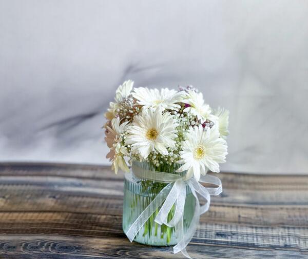 عکس گل ژربرا نارنجی