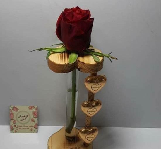 عکس گل تک شاخ