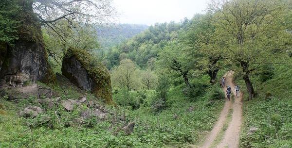 عکس طبیعت تالش
