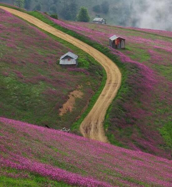 عکس طبیعت تالش