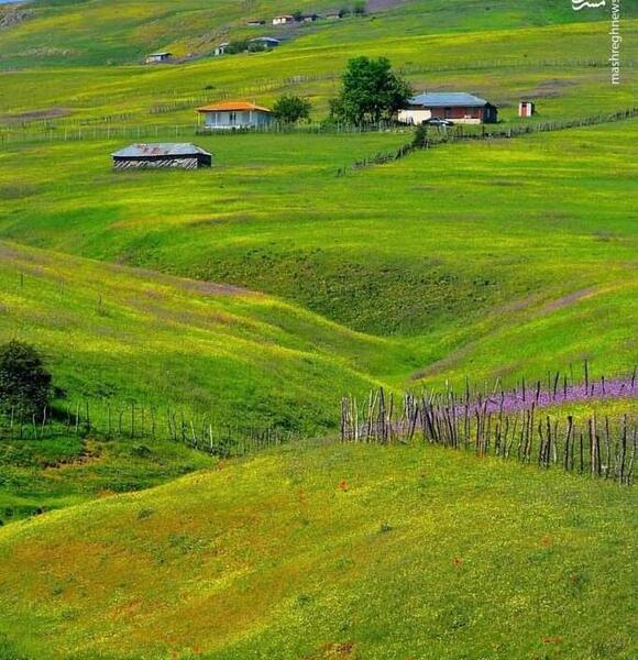 عکس طبیعت تالش
