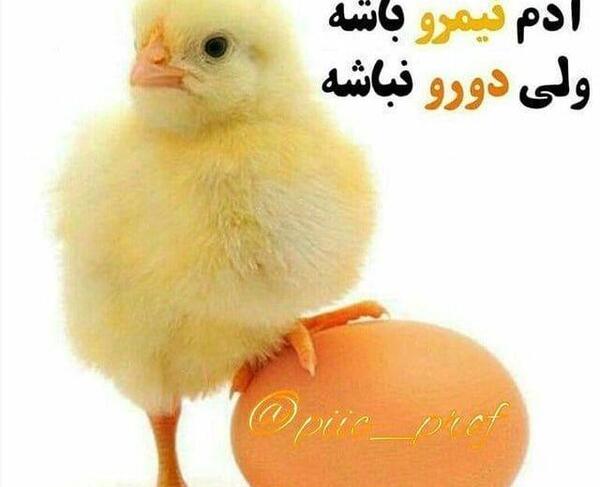 عکس پروفایل آدم های دورو