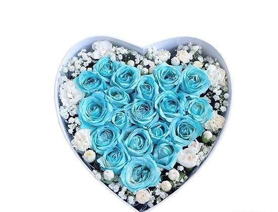 عکس گل فیروزه ای