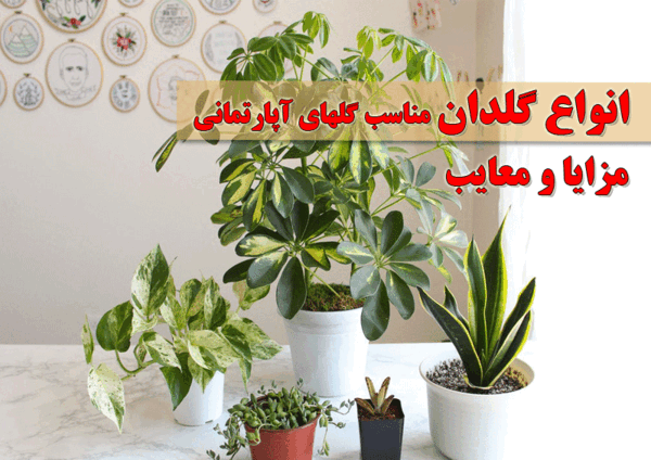 عکس گل در گلدان سفالی