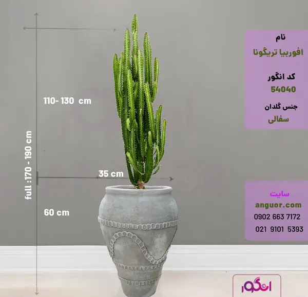 عکس گل در گلدان سفالی