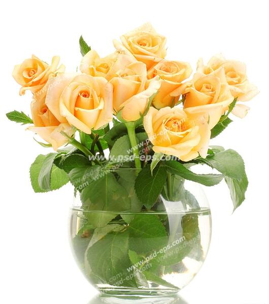 عکس گل در گلدان شیشه ای