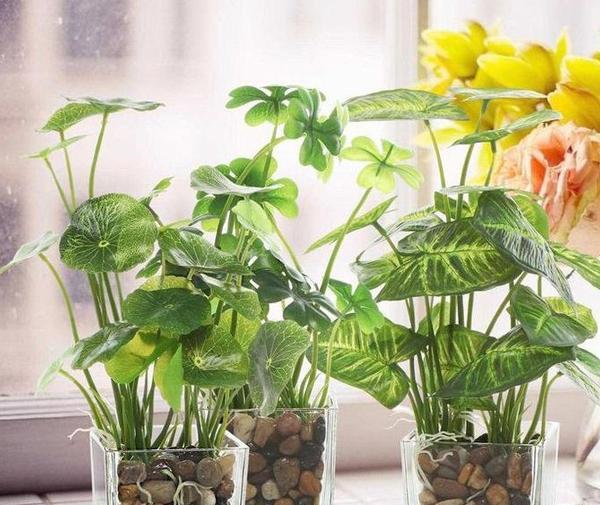 عکس گل در گلدان شیشه ای