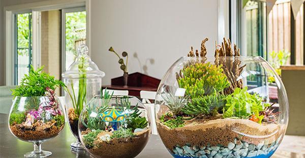 عکس گل در گلدان شیشه ای