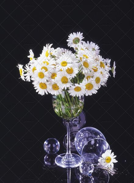 عکس گل در گلدان شیشه ای