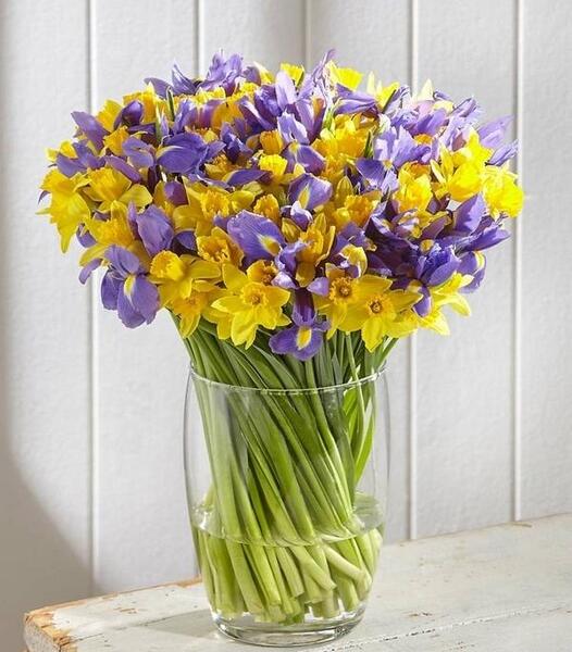 عکس گل در گلدان شیشه ای