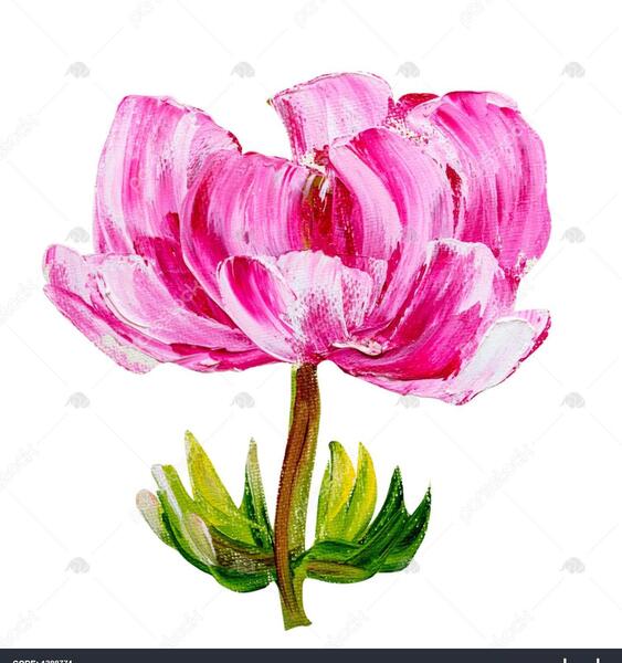 عکس گیاه گل پونه