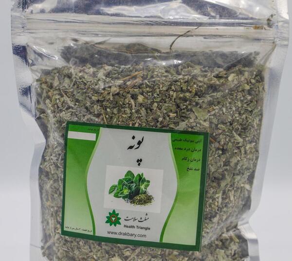 عکس گیاه گل پونه