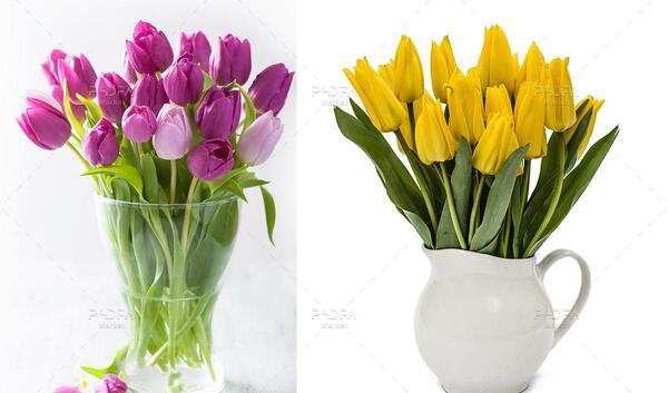 عکس گلدان گل طبیعی زیبا