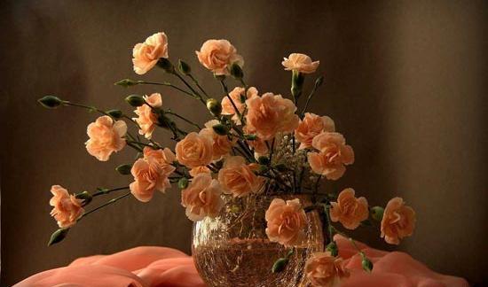 عکس گلدان گل طبیعی زیبا
