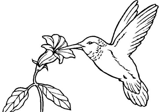 عکس گل طراحی شده ساده