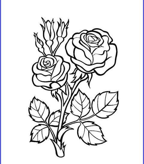 عکس گل طراحی شده ساده