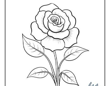 عکس گل طراحی شده ساده
