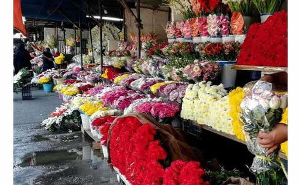 عکس گل فروشی های اتوبان بهشت زهرا