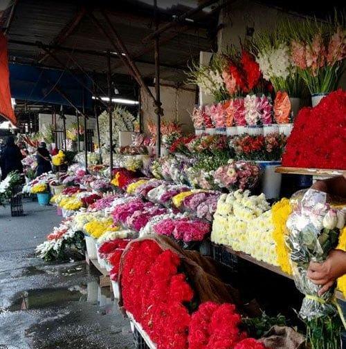 عکس گل فروشی های اتوبان بهشت زهرا