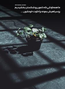 عکس پروفایل گل شکسته