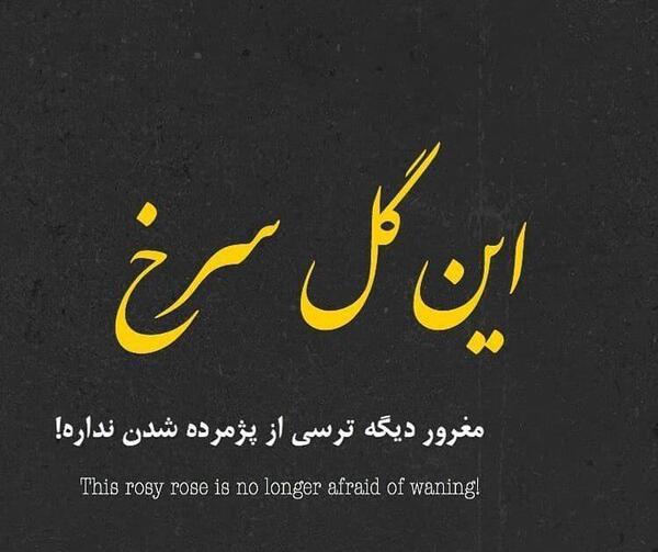 عکس پروفایل گل شکسته