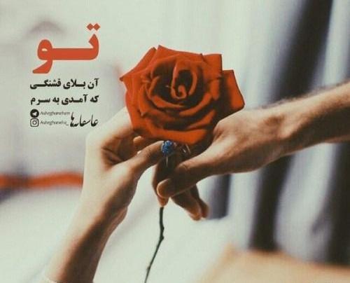 عکس پروفایل گل شکسته