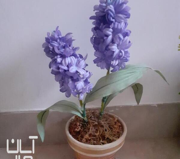 عکس گل سنبل مصنوعی