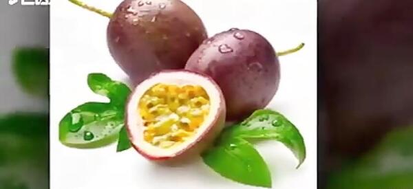 عکس میوه گل ساعتی