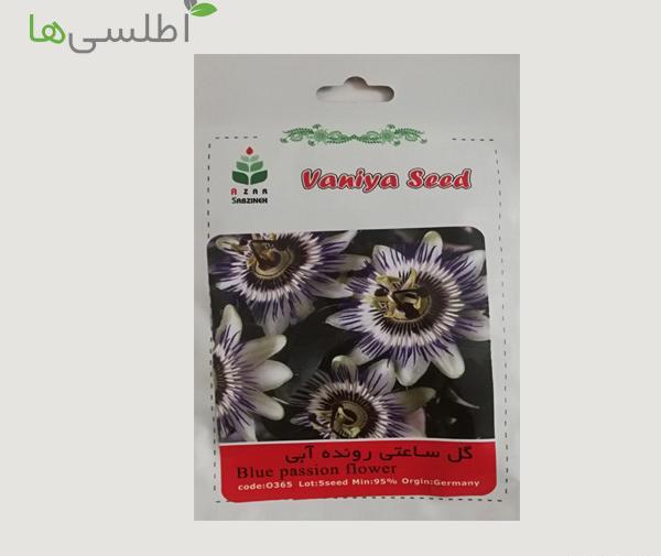 عکس میوه گل ساعتی