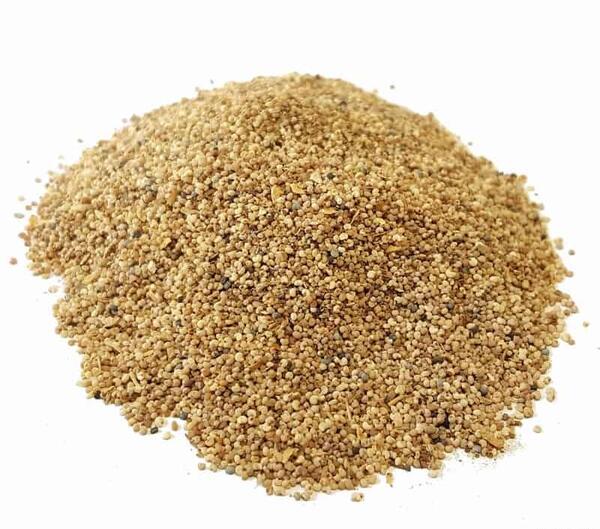 عکس گل خشخاش سفید