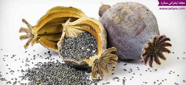 عکس گل خشخاش سفید