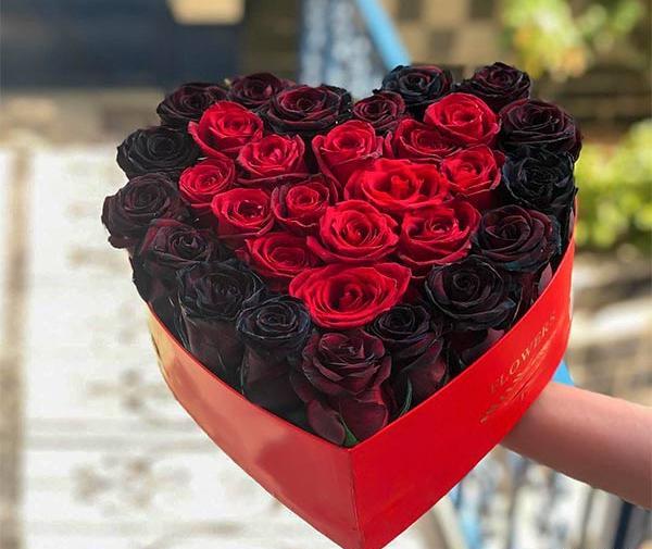 عکس گل و قلب مشکی