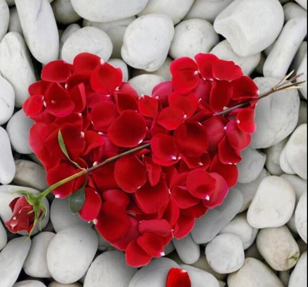 عکس گل و قلب مشکی