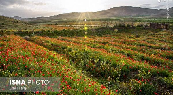 عکس از طبیعت آذربایجان غربی