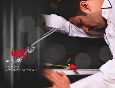 عکس گل پونه های وحشی
