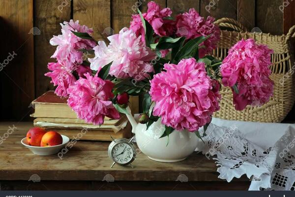 عکس گل پونه های وحشی