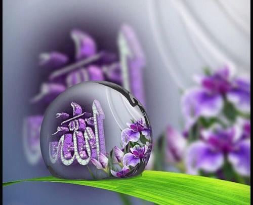 زیباترین عکس الله در قلب