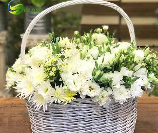 عکس سبد گل طبیعی زیبا