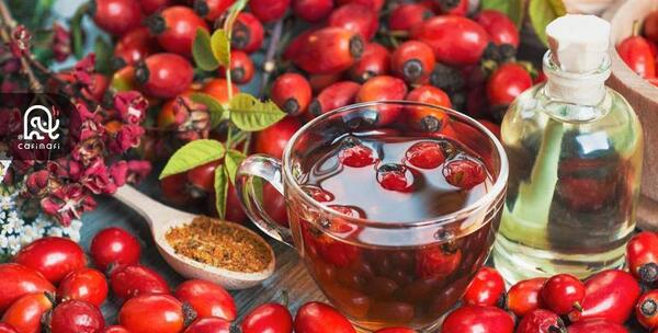 عکس گل نسترن وحشی