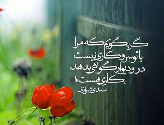 عکس پروفایل شعر عاشقانه حافظ