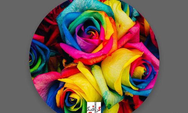 عکس گل زیبا برای پروفایل اینستاگرام
