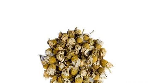 عکس گل بابونه المانی