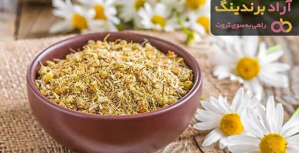 عکس گل بابونه المانی
