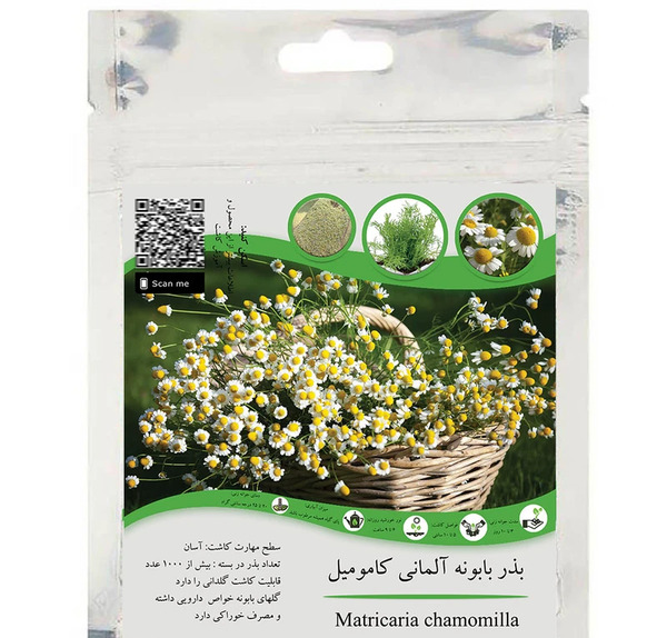 عکس گل بابونه المانی