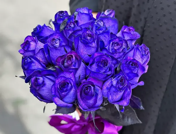 عکس گل بنفشه زیبا